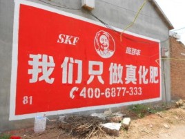 庆元刷墙广告”蕴含了时代命题