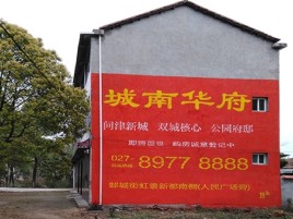 庆元百分之90的人都不了解的农村墙体广告