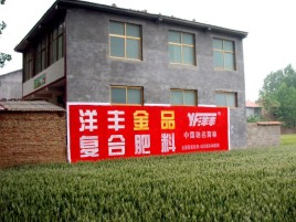 庆元如何让墙体广告展现最大化效果
