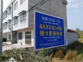 庆元墙体广告质量分析
