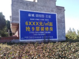 庆元品牌公司青睐的墙体广告