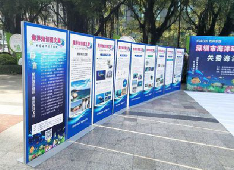 庆元KT板的种类和知识。